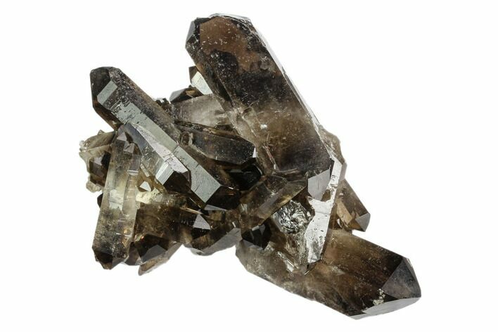Dark Smoky Quartz Crystal Cluster - Brazil #124568